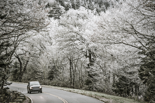 Image for Stay 3+ Nights and Save!